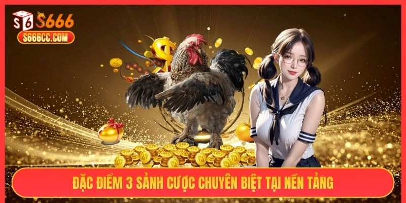 Đặc điểm 3 sảnh cược chuyên biệt tại nền tảng S666