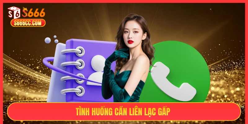Tình huống cần liên lạc gấp S666