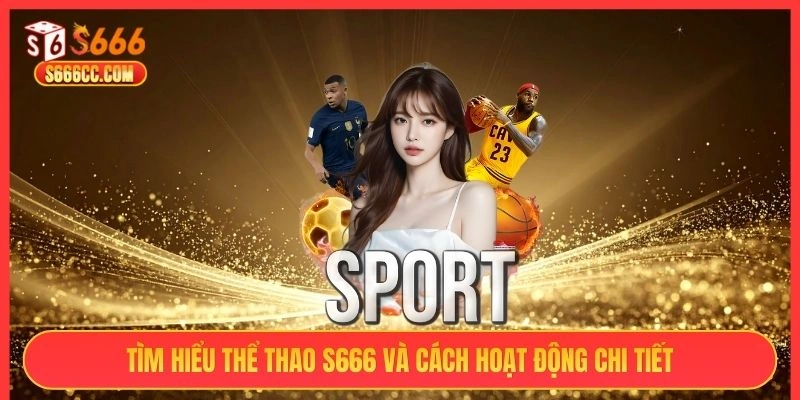 Tìm hiểu sảnh thể thao S666 và cách hoạt động chi tiết